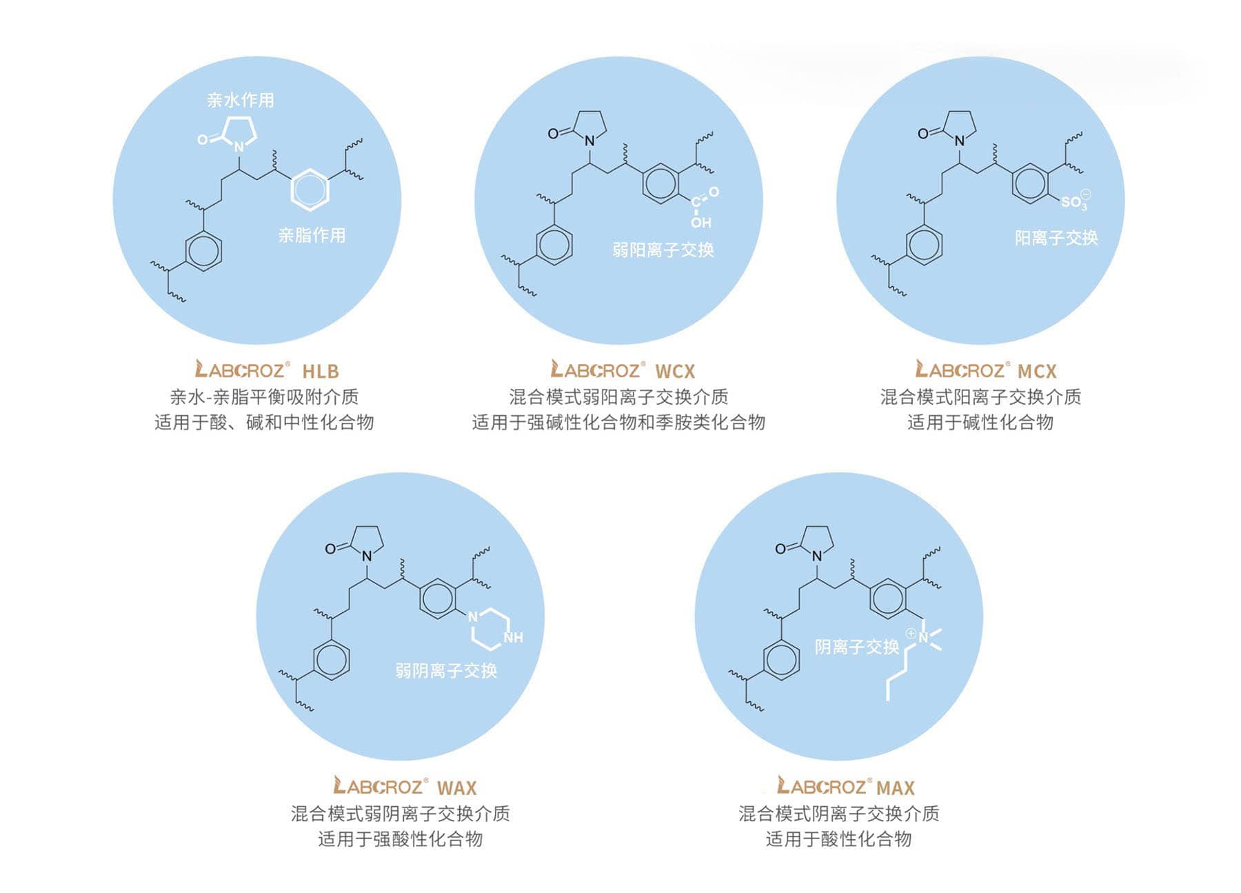 聚合物基质.jpg