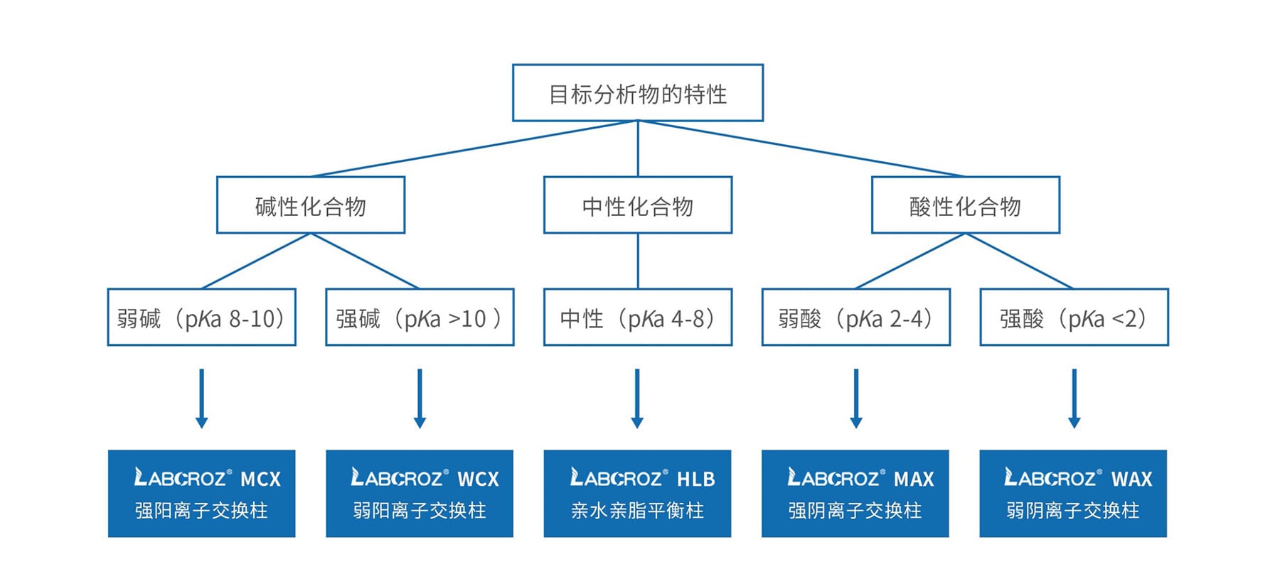HLB聚乙烯吡咯烷酮基质SPE的选择.jpg